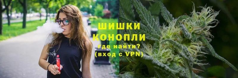 Каннабис OG Kush  Белокуриха 